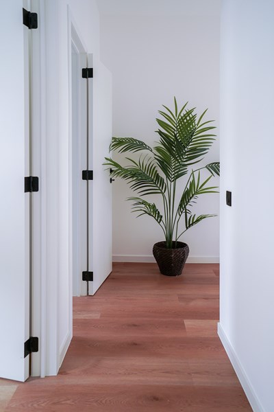 Hall intérieur lumineux avec plante dans la maison Courtoisie 11
